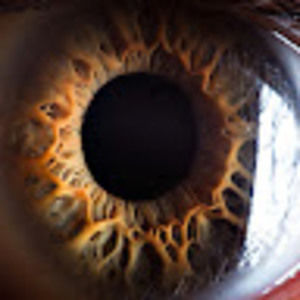 Meet your Posher, Gu